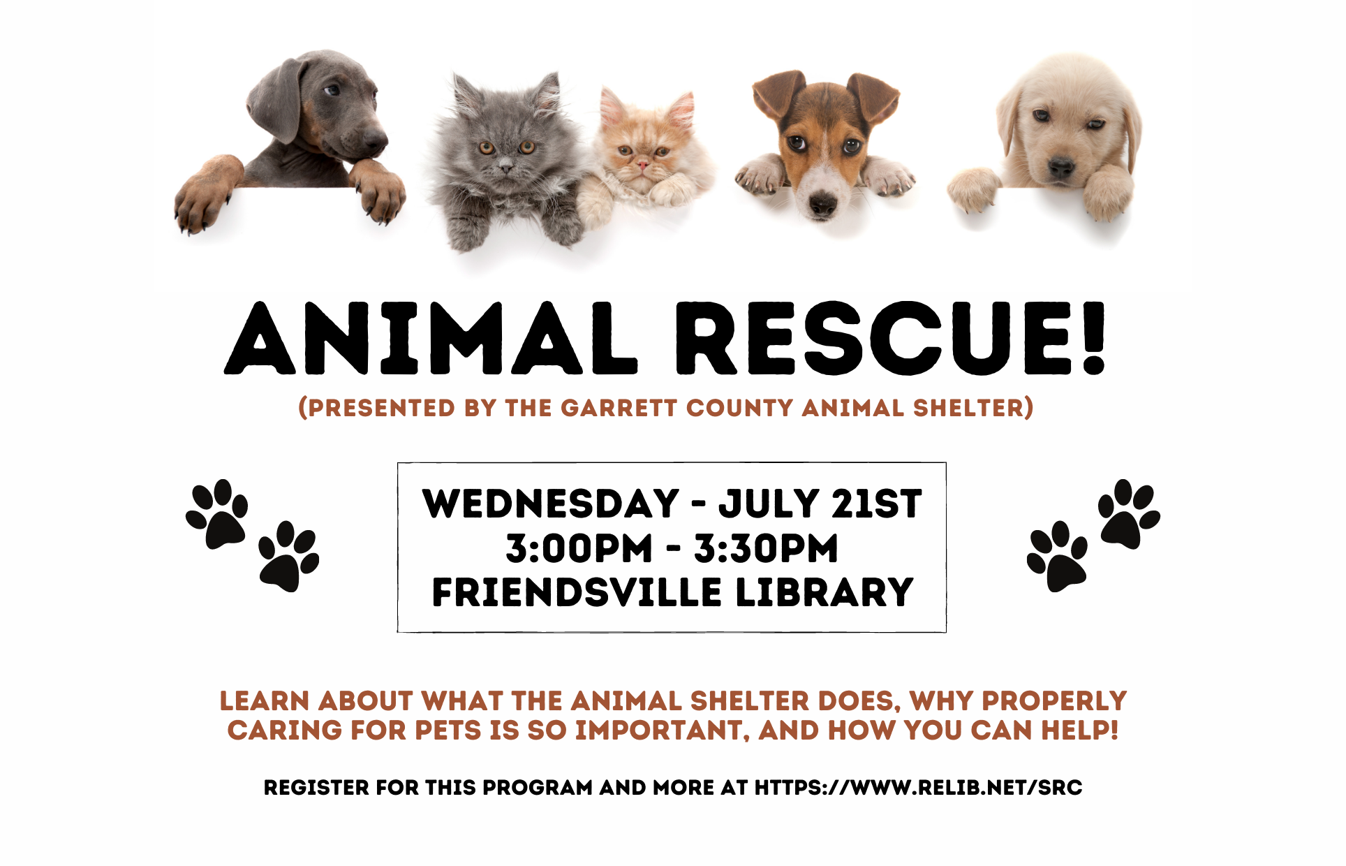 Animal Rescue! Garrett County Animal Shelter