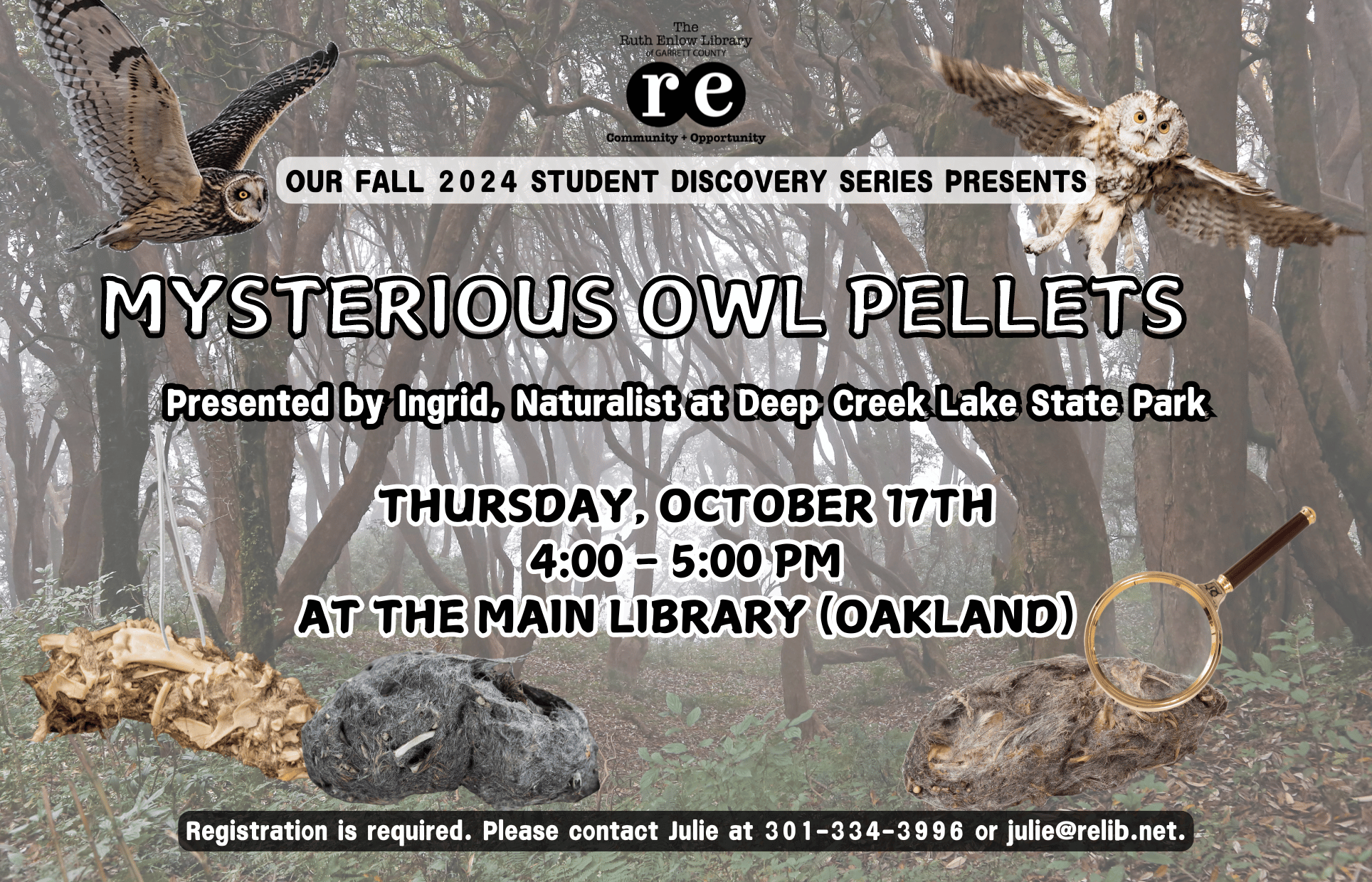 owls, owl pellets, tweezers, magnifying glass