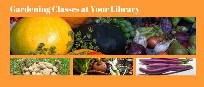 Gardening image with vegetables 