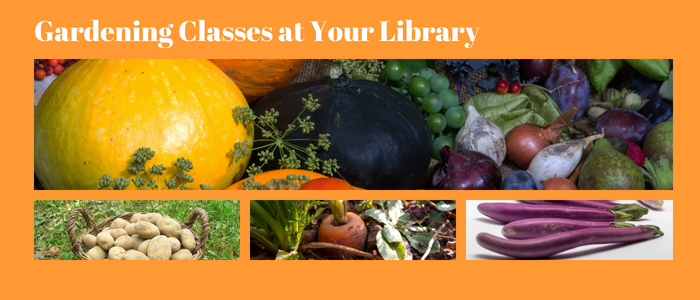 Gardening classes at your library