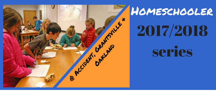 HomeSchooler Series 2017-2018 slide