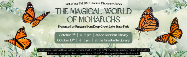 the magical world of monarchs